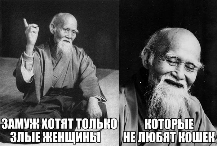 Прикольные картинки (81 фото)