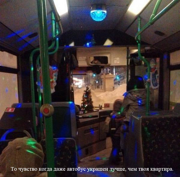 Прикольные картинки (81 фото)