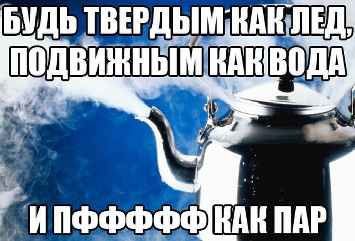 Прикольные картинки (81 фото)