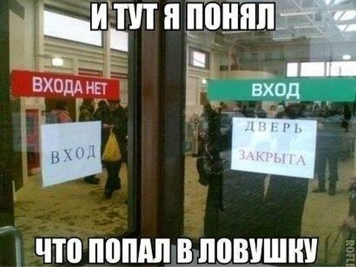 Прикольные картинки (81 фото)