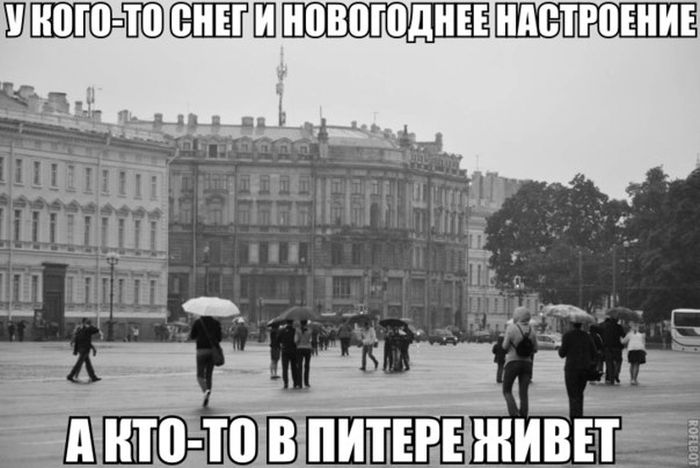 Прикольные картинки (81 фото)