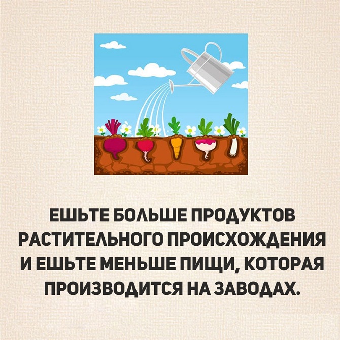 40 простых советов для счастливой и здоровой жизни