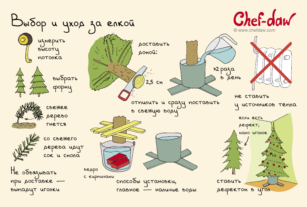 10 наглядных советов, которые помогут подготовиться к Новому году