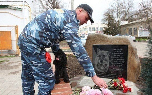 Собачье дело (4 фото) Собачье дело (4 фото)