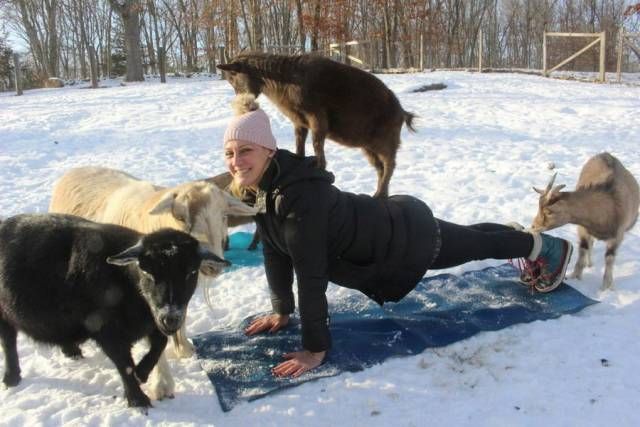 Прикольные картинки