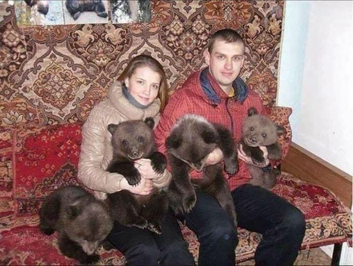 Странные и забавные фото с российских просторов
