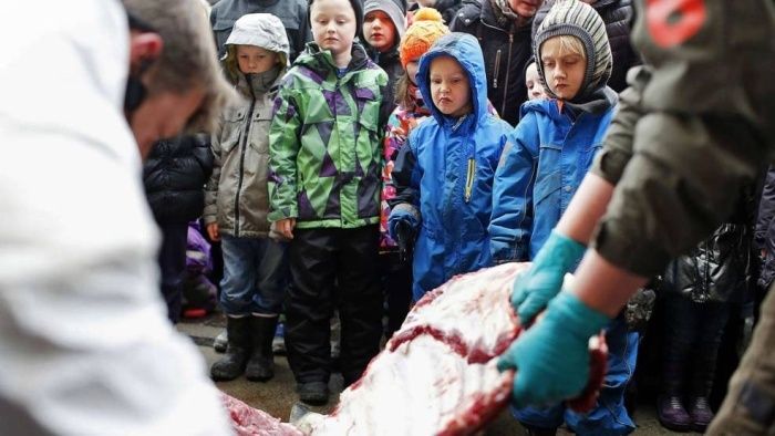 Европейский гуманизм (12 фото) Европейский гуманизм (12 фото)