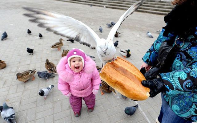 Прикольные картинки (74 фото)