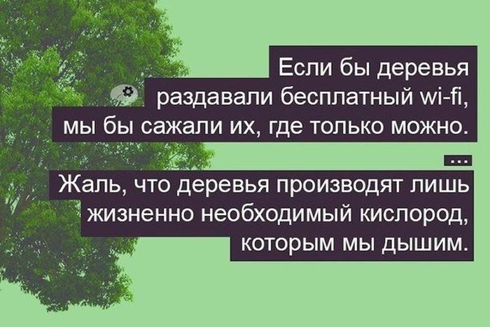 Порция картинок