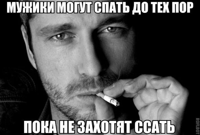 Порция картинок