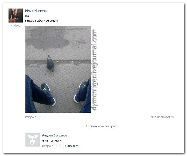 Смешные комментарии из социальных сетей