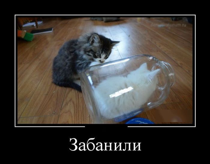Демотиваторы