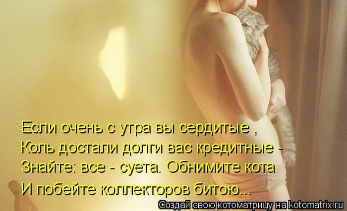 Лучшие котоматрицы недели