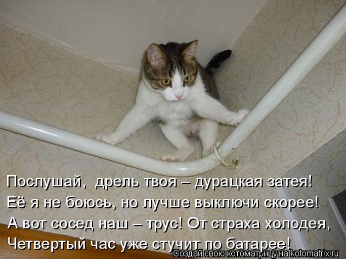 Лучшие котоматрицы недели