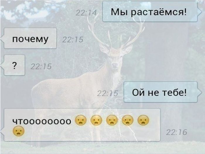 Порция картинок: