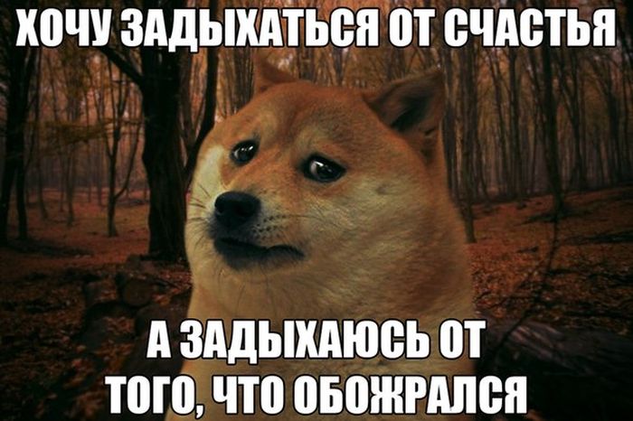 Порция картинок: