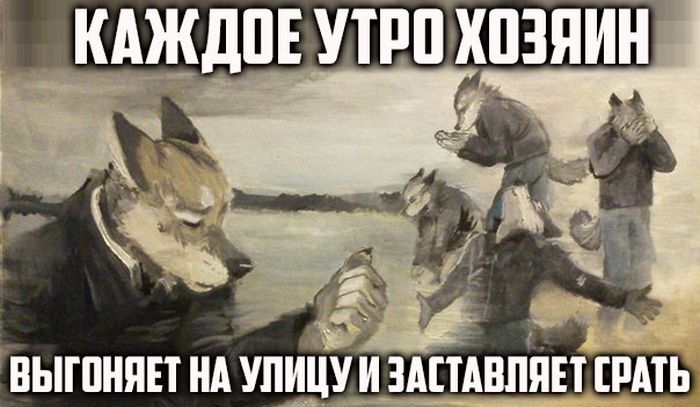 Порция картинок: