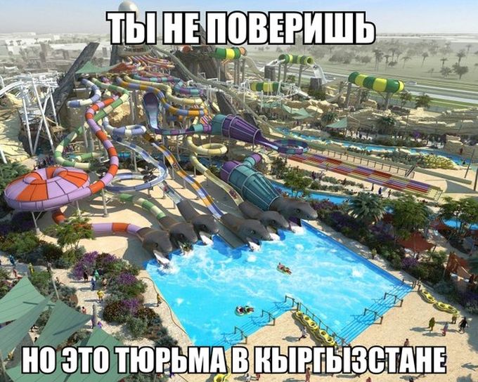 Порция картинок: