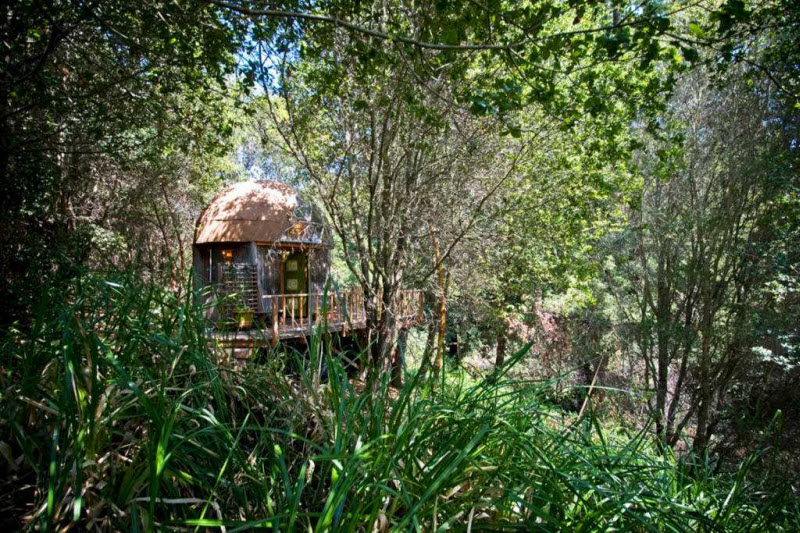 Внутри домика-гриба — самого популярного объекта, сдаваемого в аренду на Airbnb Внутри домика-гриба — самого популярного объекта, сдаваемого в аренду на Airbnb