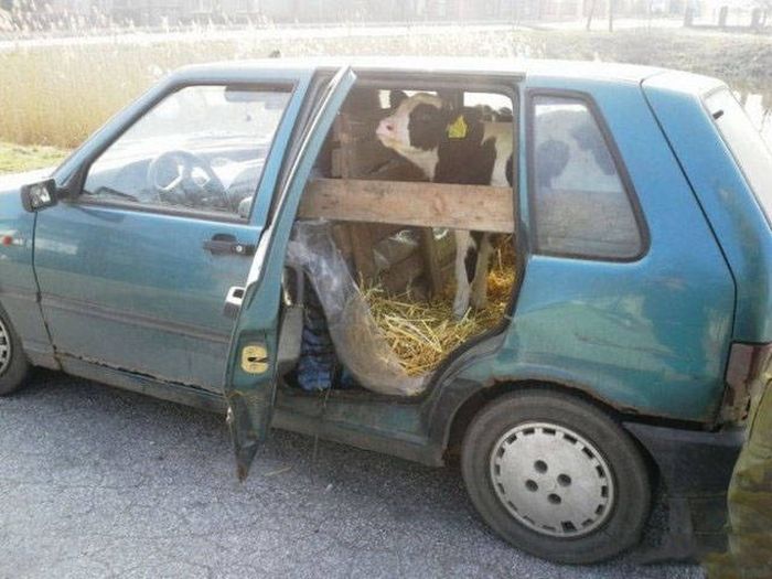 Смотрите, я все починил!