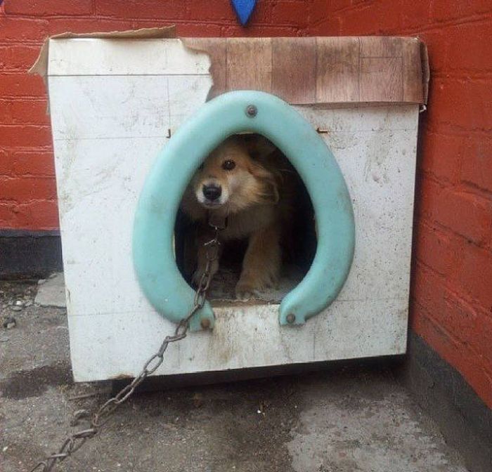 Смотрите, я все починил!