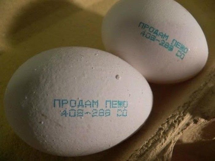 Народные маразмы