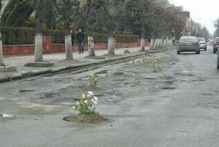 Прикольные картинки
