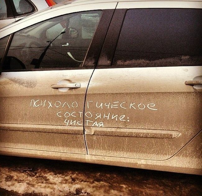 Прикольные картинки (80 фото)