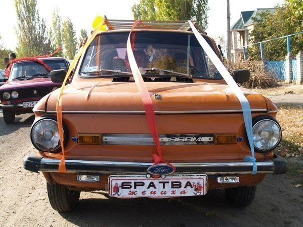 Прикольные картинки (80 фото)