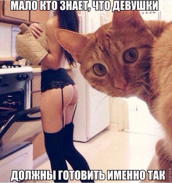 Прикольные картинки (80 фото)