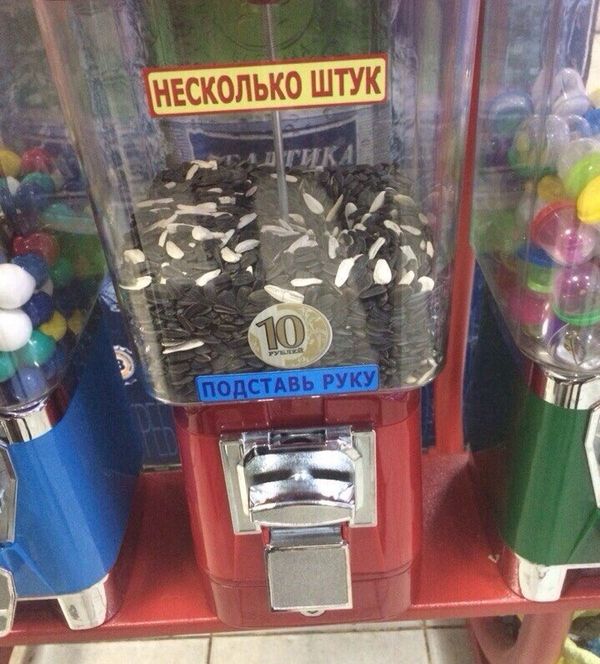 Порция картинок