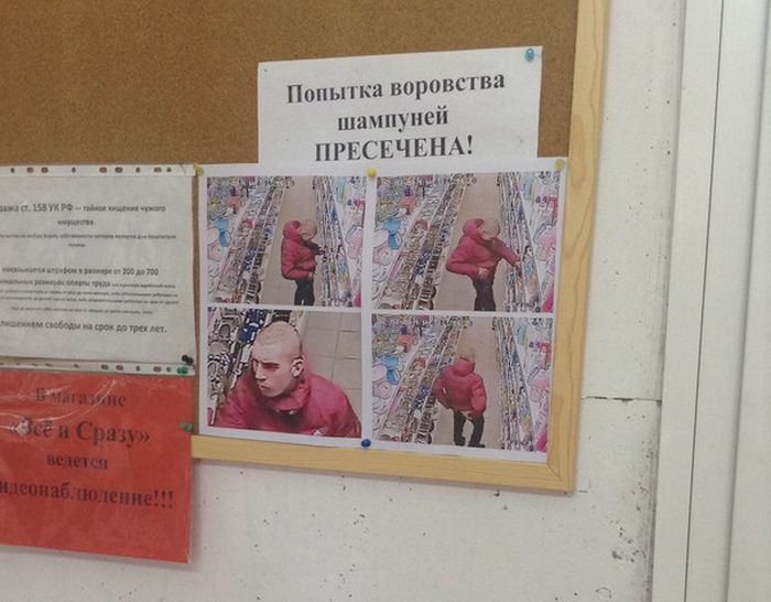 Порция картинок