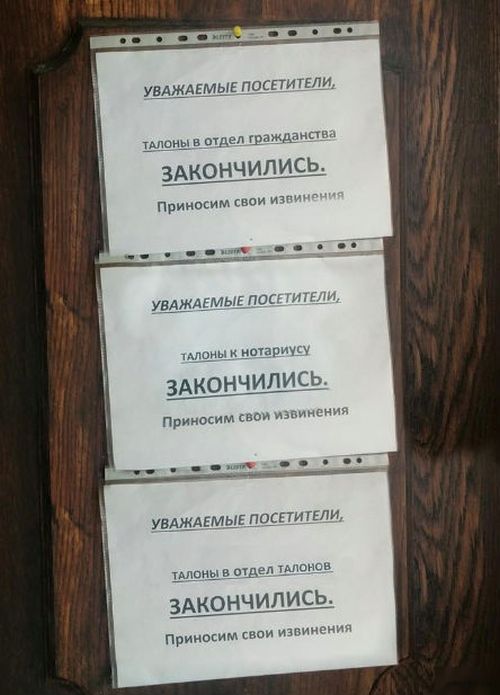 Порция картинок