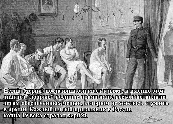Порция картинок