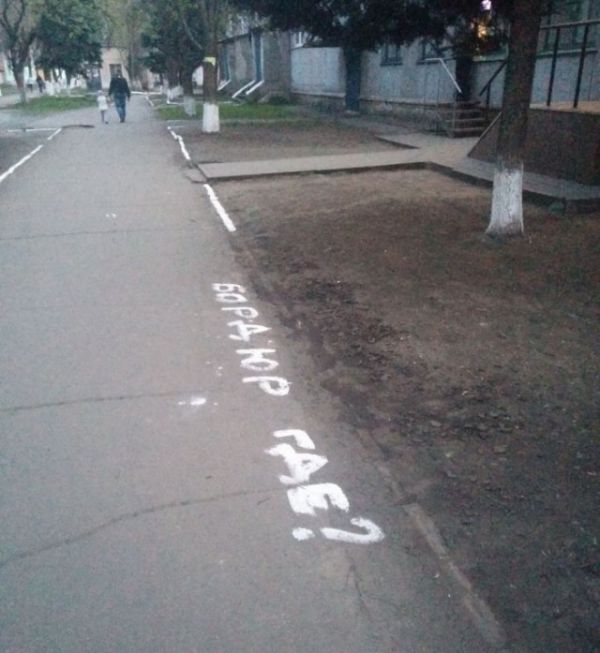 Порция картинок