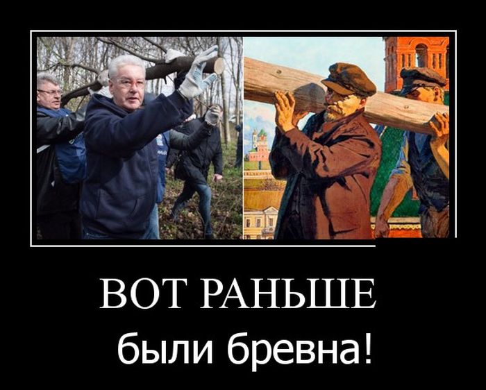 Демотиваторы