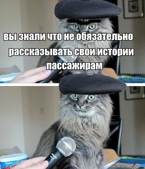 Свежая подборка автоприколов