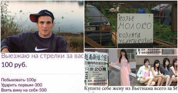 Любой каприз за ваши деньги! Любой каприз за ваши деньги!