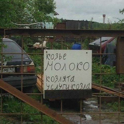 Любой каприз за ваши деньги! Любой каприз за ваши деньги!