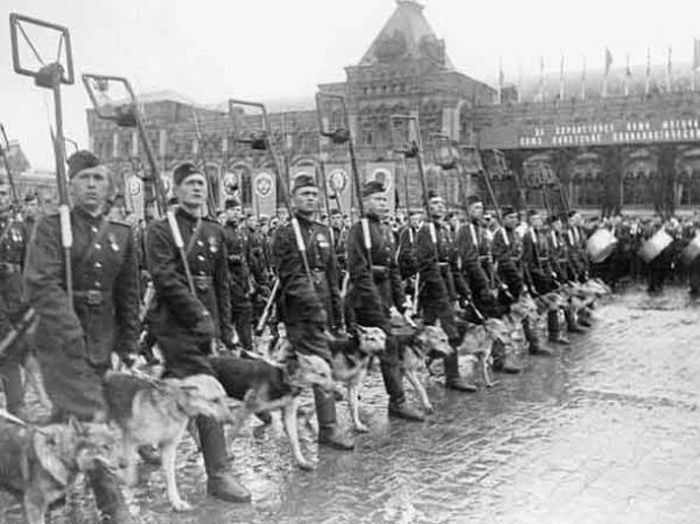 Интересные факты о параде Победы 24 июня 1945 года