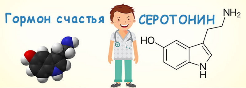 Способы повысить уровень серотонина — гормона счастья Способы повысить уровень серотонина — гормона счастья