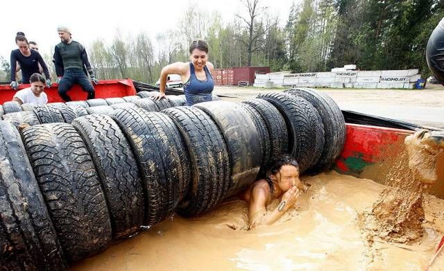 Прикольные картинки