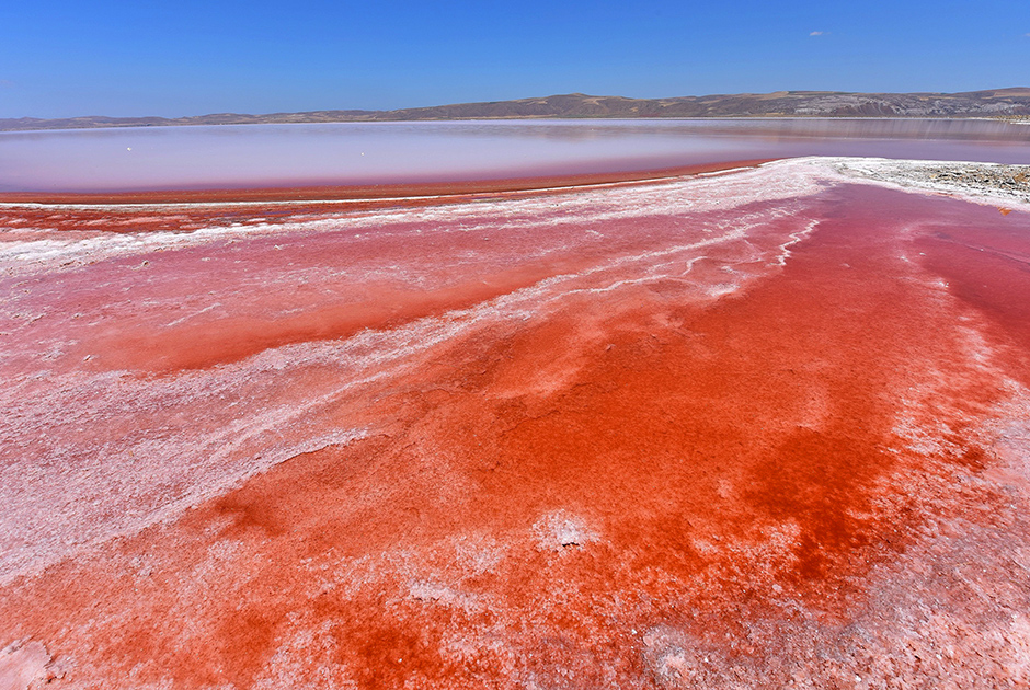 Водоемы необычных цветов Водоемы необычных цветов