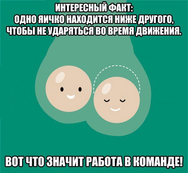 Порция картинок