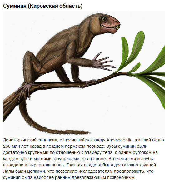 Доисторические животные, населявшие территорию современной России