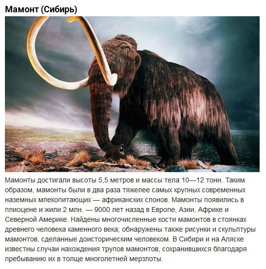 Доисторические животные, населявшие территорию современной России