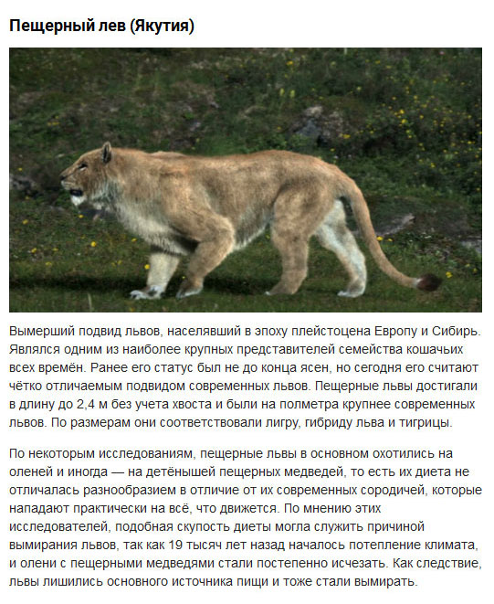Доисторические животные, населявшие территорию современной России