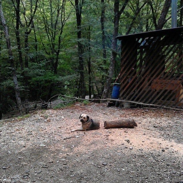 Фотографии, требующие повышенного внимания