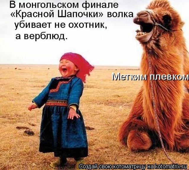 Лучшие котоматрицы недели