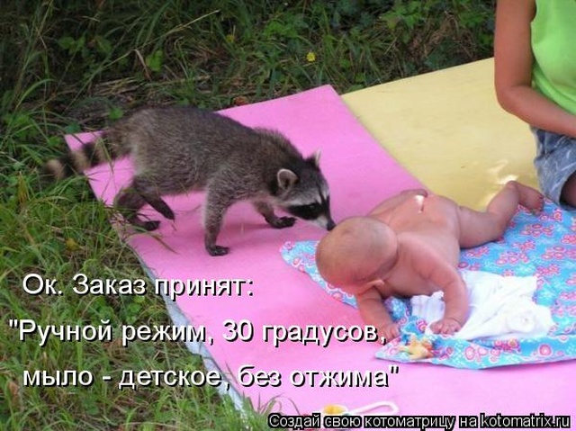 Лучшие котоматрицы недели